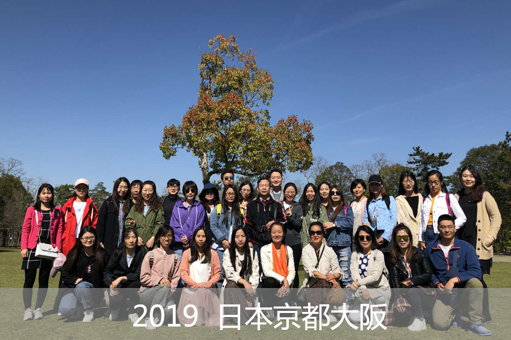 2019，團隊活動